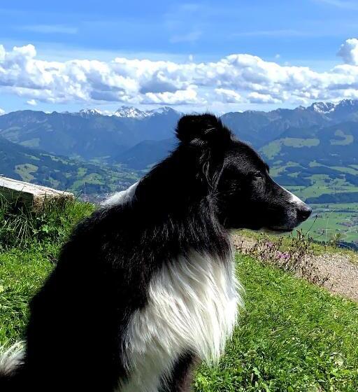 旅馆 Alpstein Das Gasthaus