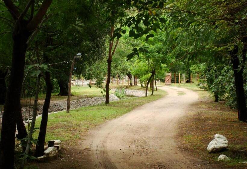 فندق صغير El Limon