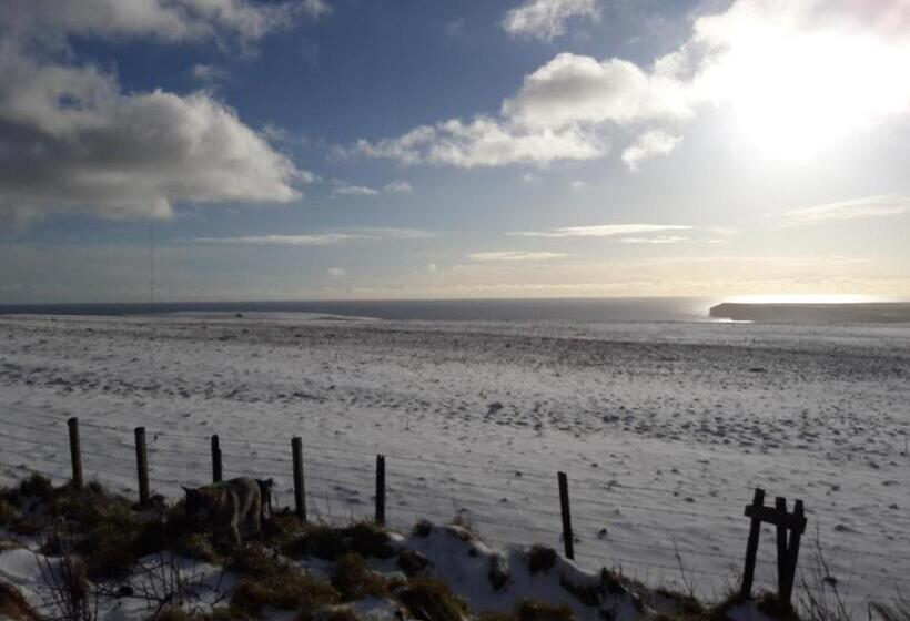 旅馆 The Anchorage