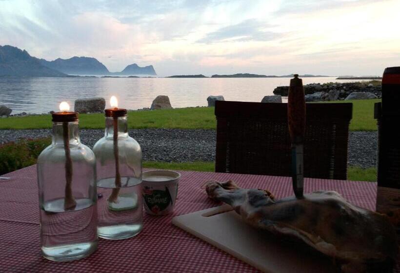 هاستل Tinebua Basecamp Senja