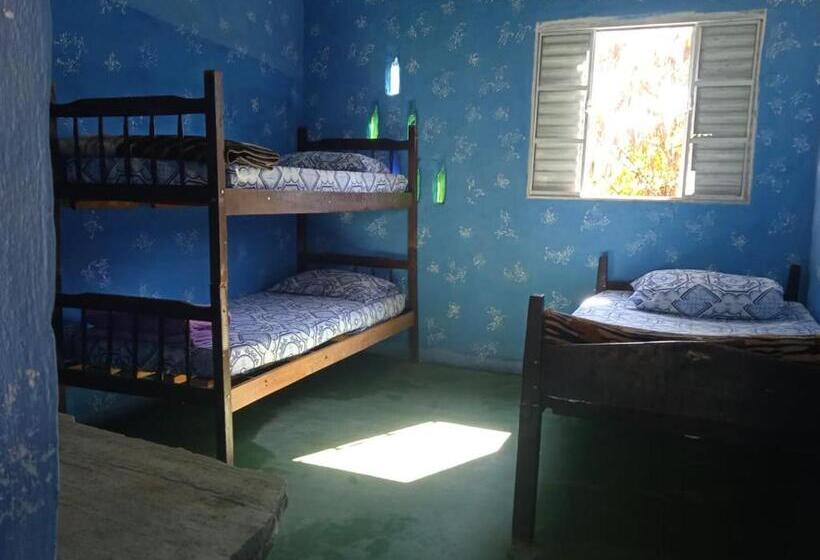 호스텔 Villa Druida