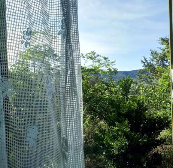 호스텔 Villa Druida