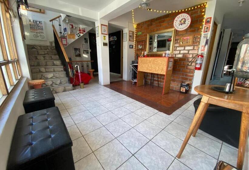 Amelita Hotel Boutique