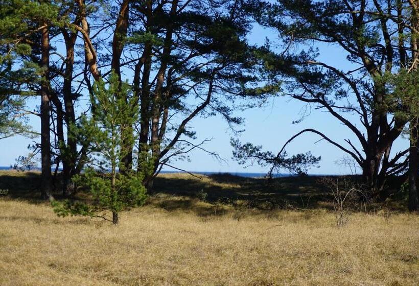 민박 Adagio På österlen