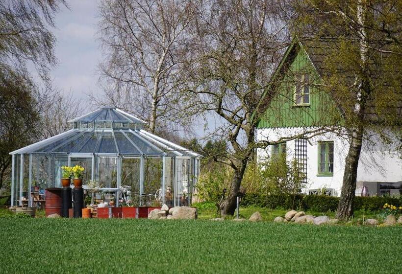 민박 Adagio På österlen