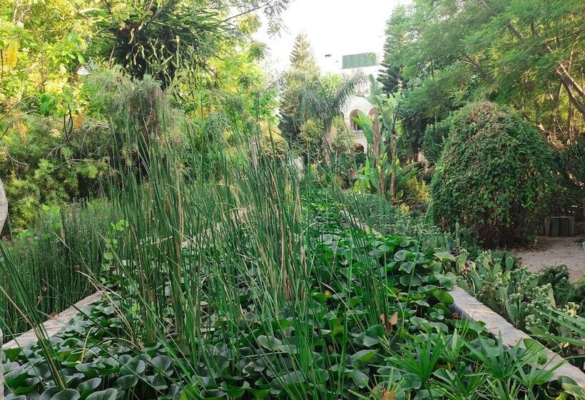 민박 Babil Bahçeleri Butik Hotel & Cafe