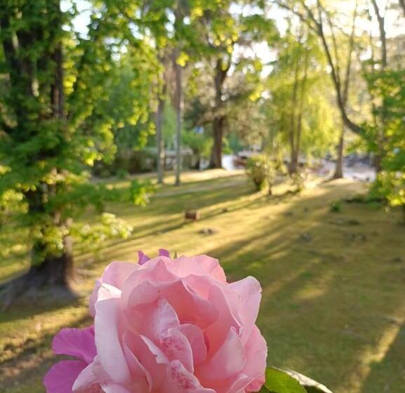 مبيت وإفطار Cabañas Le Parc En Delta De Tigre
