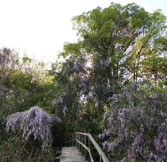 مبيت وإفطار Cabañas Le Parc En Delta De Tigre