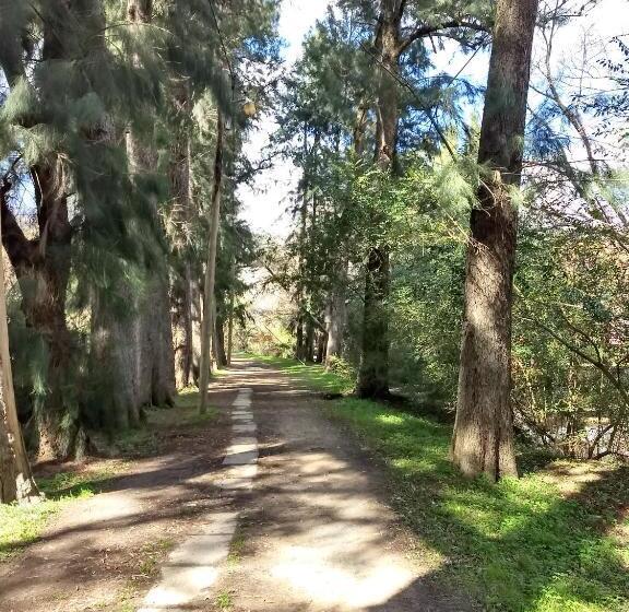 مبيت وإفطار Cabañas Le Parc En Delta De Tigre