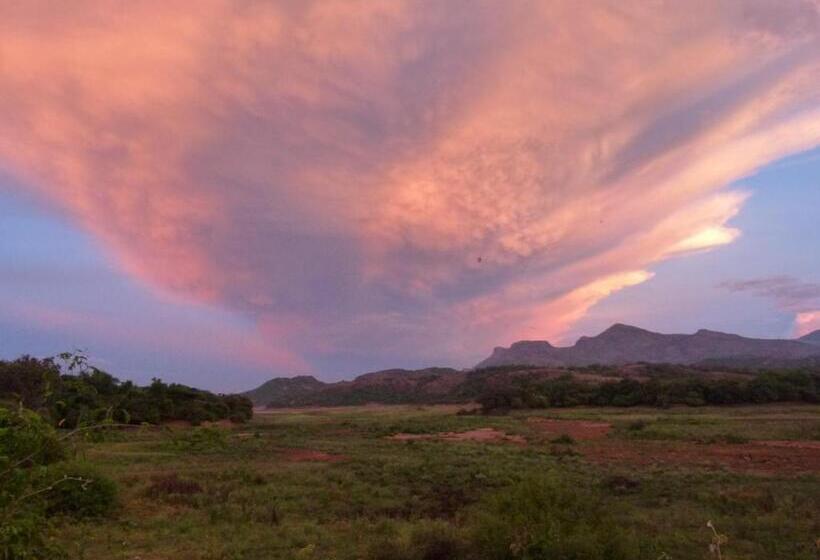 민박 Cure Monastery