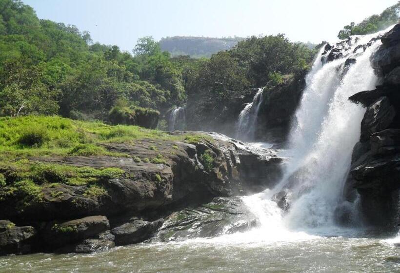 민박 Cure Monastery