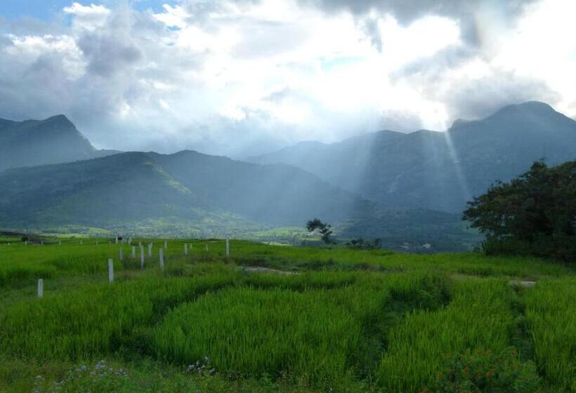 민박 Cure Monastery