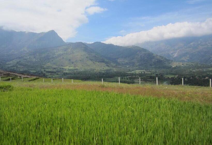 민박 Cure Monastery