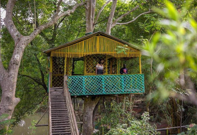 민박 Cure Monastery