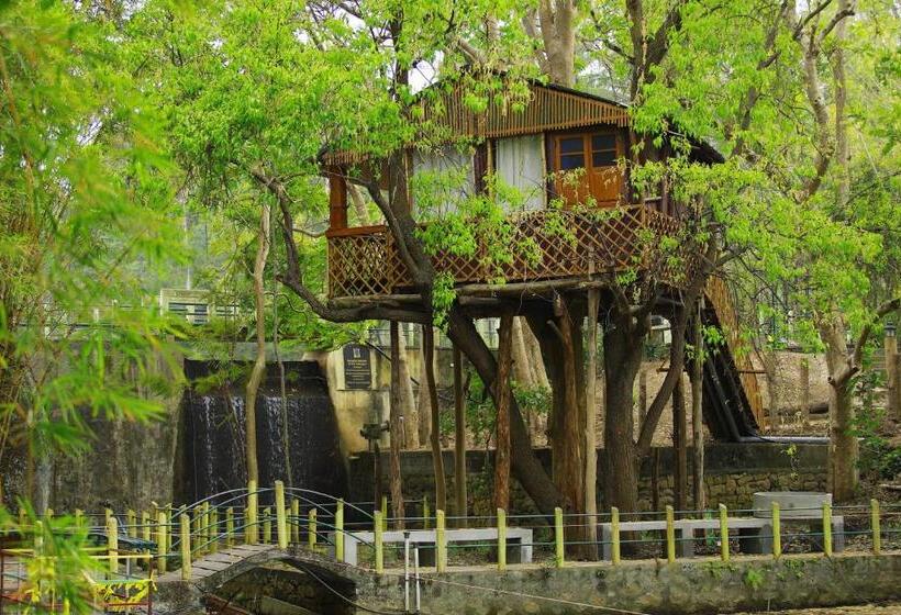 민박 Cure Monastery