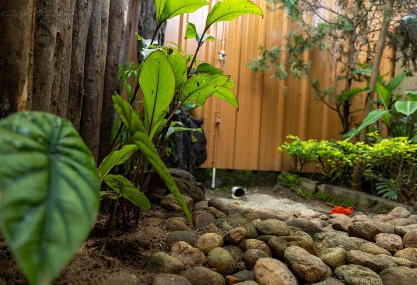 민박 Cure Monastery