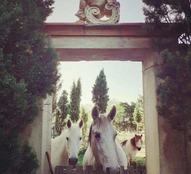 Bed and Breakfast Domaine Des Jasses