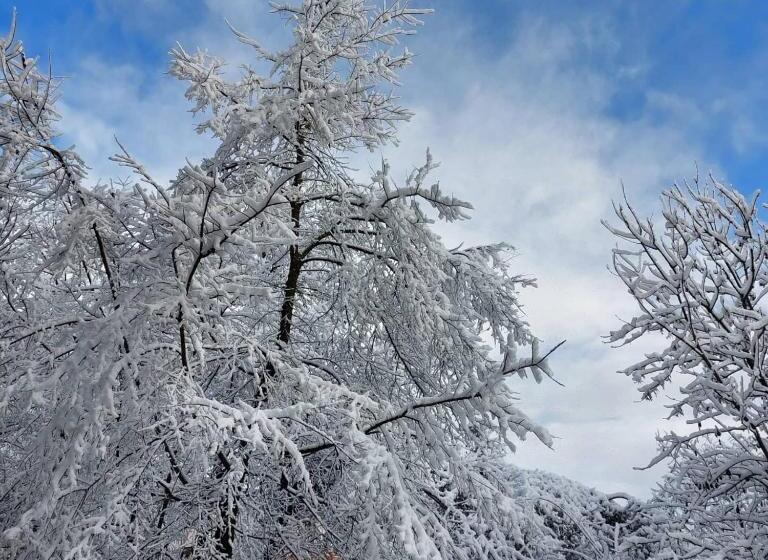 住宿加早餐 Il Pinguino D Oro