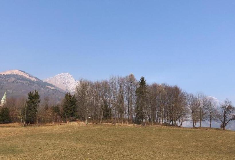 住宿加早餐 Il Pinguino D Oro