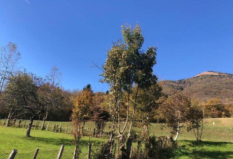 住宿加早餐 Il Pinguino D Oro
