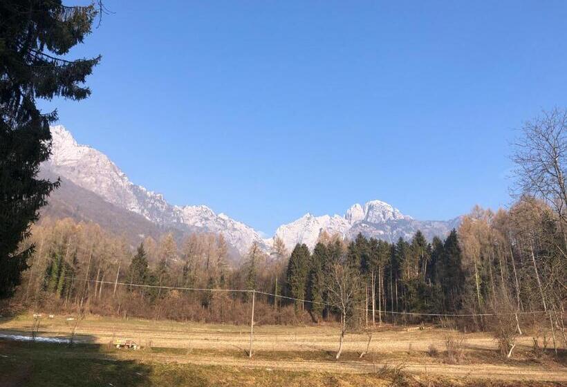 住宿加早餐 Il Pinguino D Oro