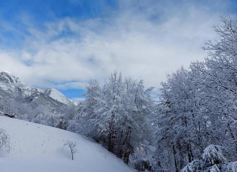 住宿加早餐 Il Pinguino D Oro