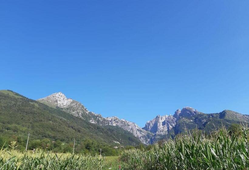 住宿加早餐 Il Pinguino D Oro