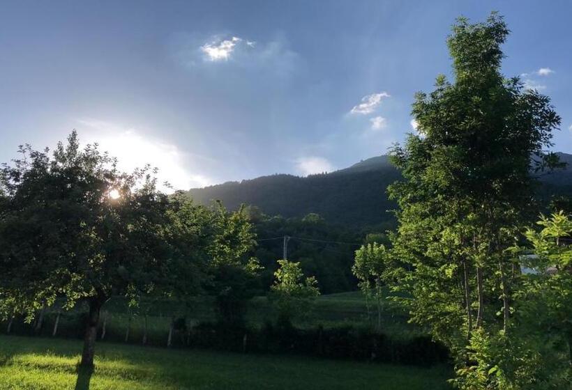 住宿加早餐 Il Pinguino D Oro