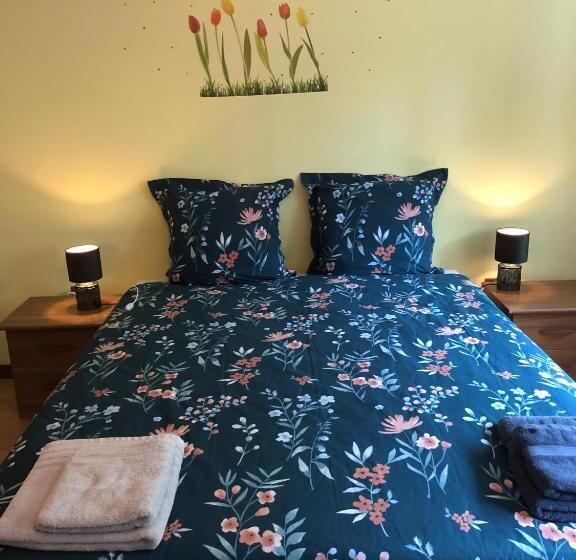 住宿加早餐 Il Pinguino D Oro