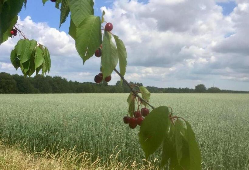 住宿加早餐  åkeslund