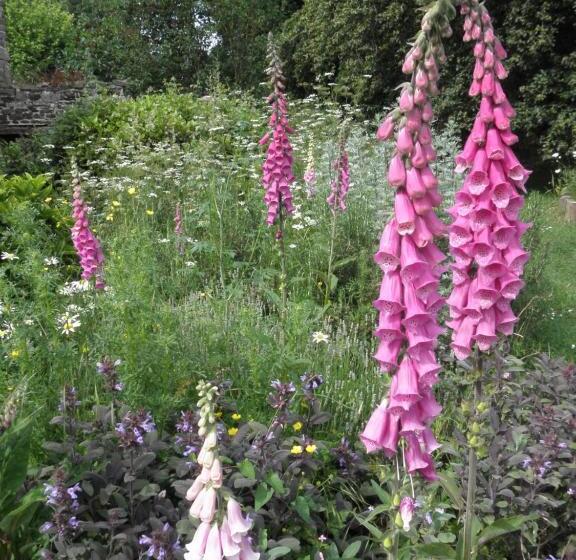 مبيت وإفطار Le Presbytère De Brectouville