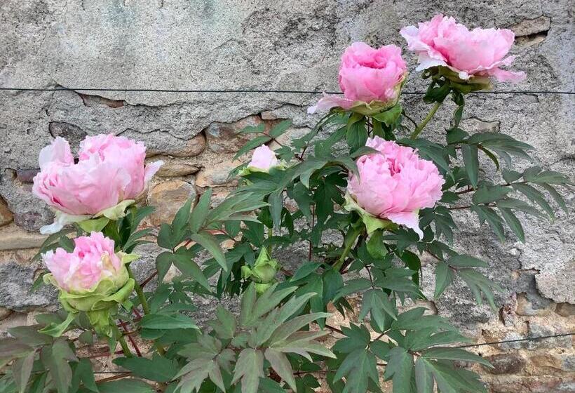 Bed and Breakfast Pivoines