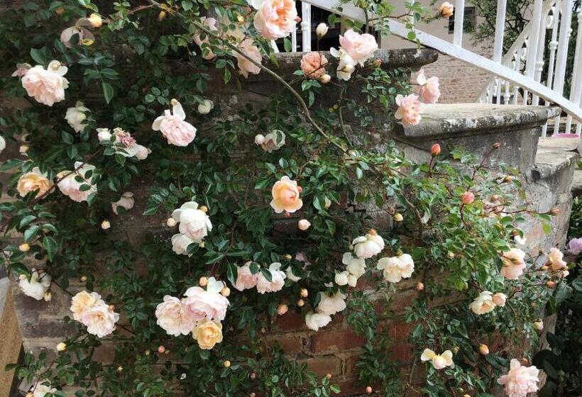 Bed and Breakfast Pivoines