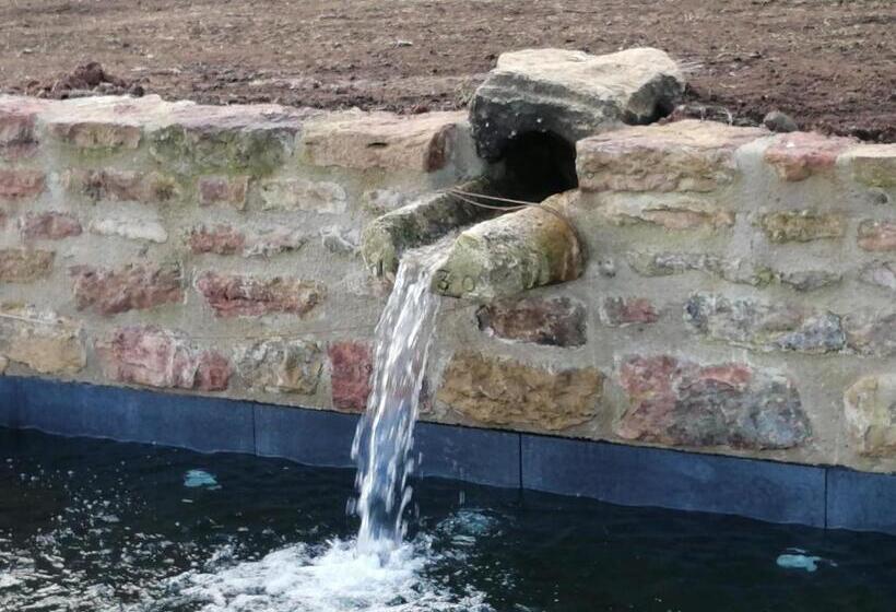 Bed and Breakfast Pivoines