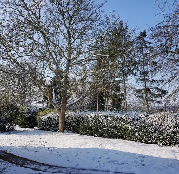 Bed and Breakfast Renard Retreat