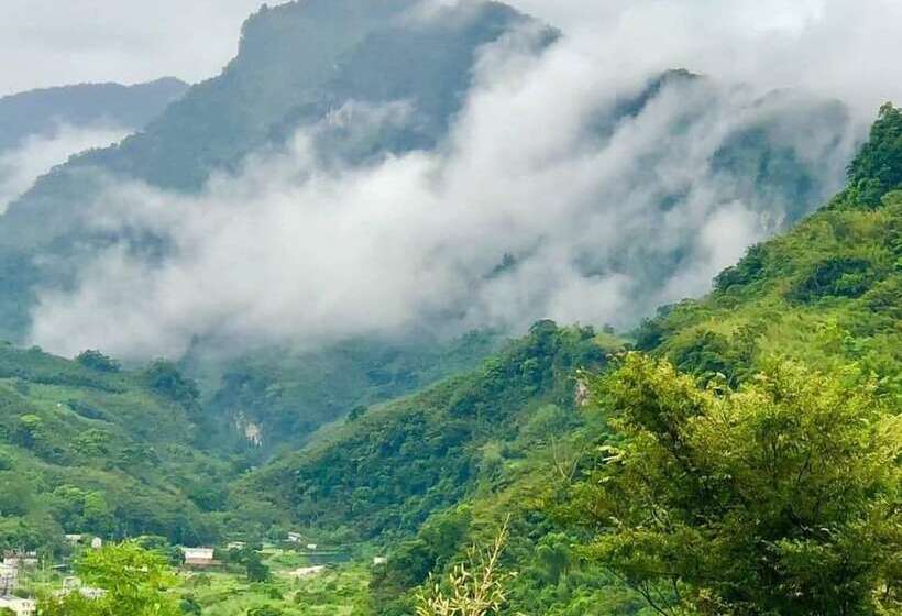 تختخواب و صبحانه Sunlight Forest