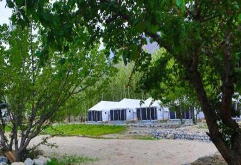 민박 Terrain Ladakh Camping