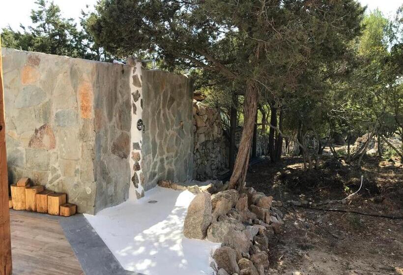 צימר Windflake Resort