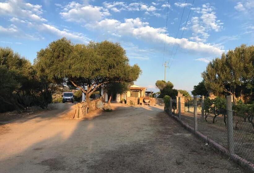 צימר Windflake Resort