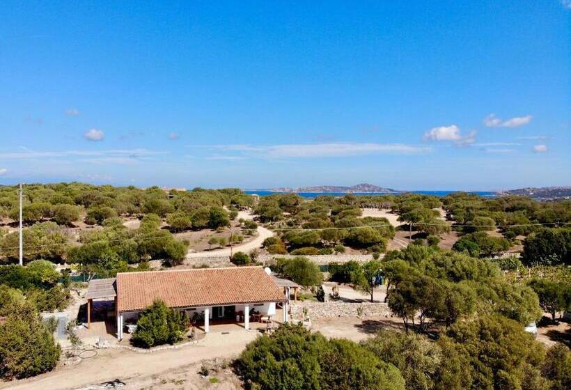 צימר Windflake Resort