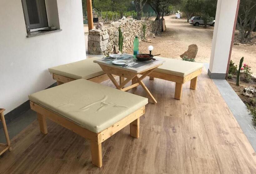 צימר Windflake Resort