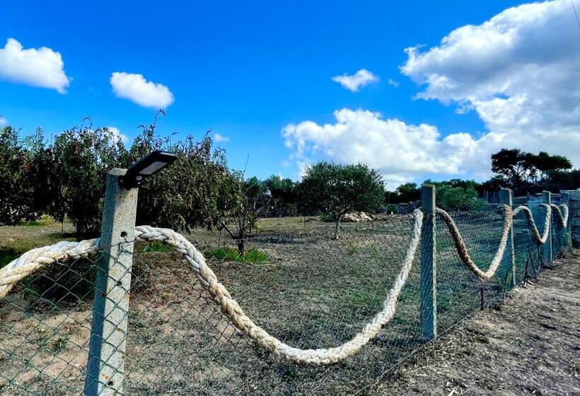 צימר Windflake Resort