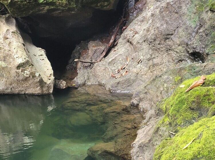 Ecohotel Bahía Terco