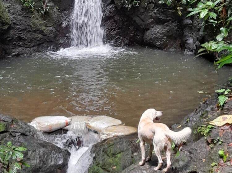Ecohotel Bahía Terco
