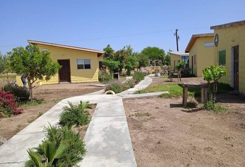 El Mezquite Hotel Mexicano Hab 1 La Catrina