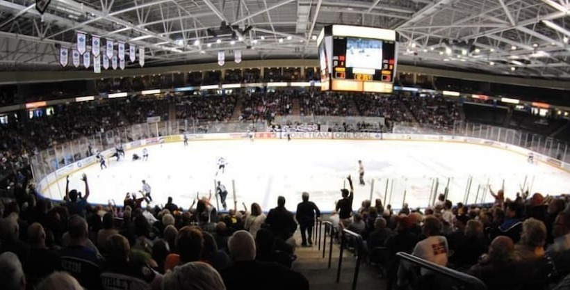 Grandma's Elephant Hideaway