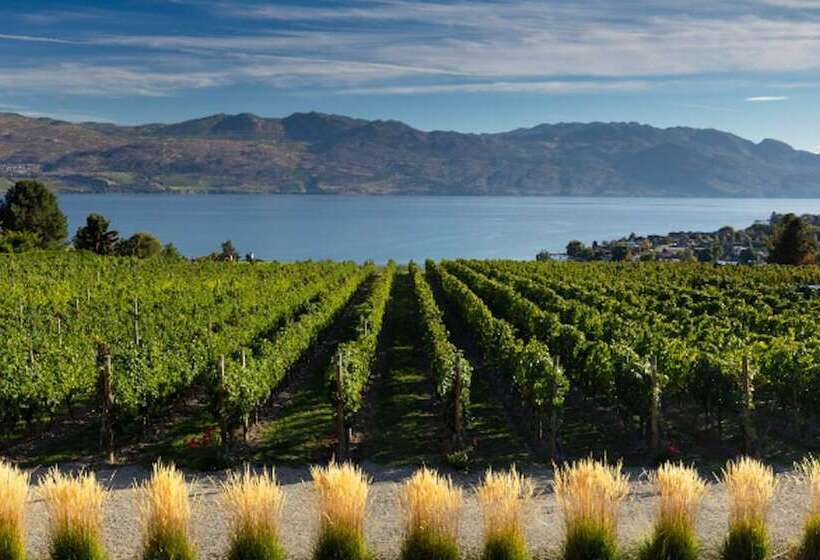 Grandma's Elephant Hideaway