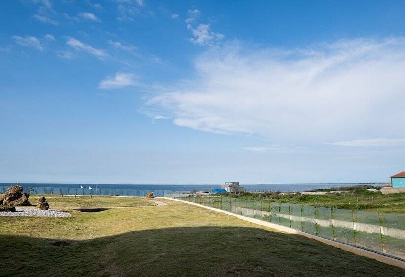 Hogar Dorado Las Gaviotas