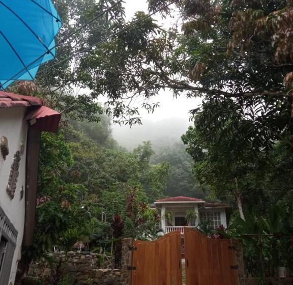 Hostal Arcadia Minca