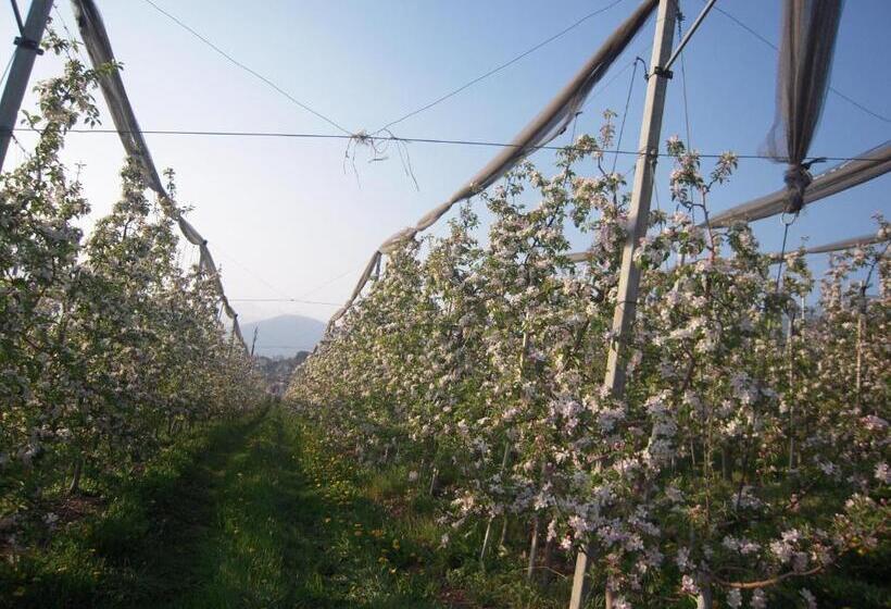 בית מלון כפרי Agritur Widmann